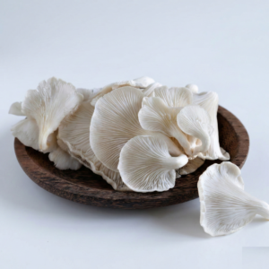 ফ্রেশ ওইস্টার মাশরুম