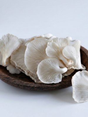 ফ্রেশ ওইস্টার মাশরুম