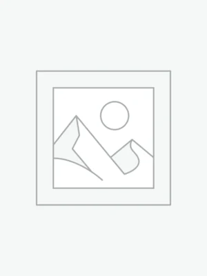 Sollicitudin Aliquam